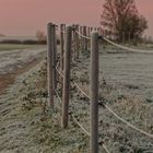 Ein frostiges Morgenrot