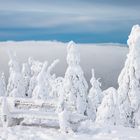 Ein frostiges Plätzchen