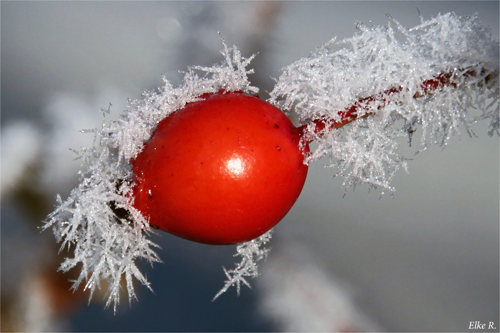 Ein Frostkleid....