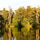 Ein früher Abend am Teich.