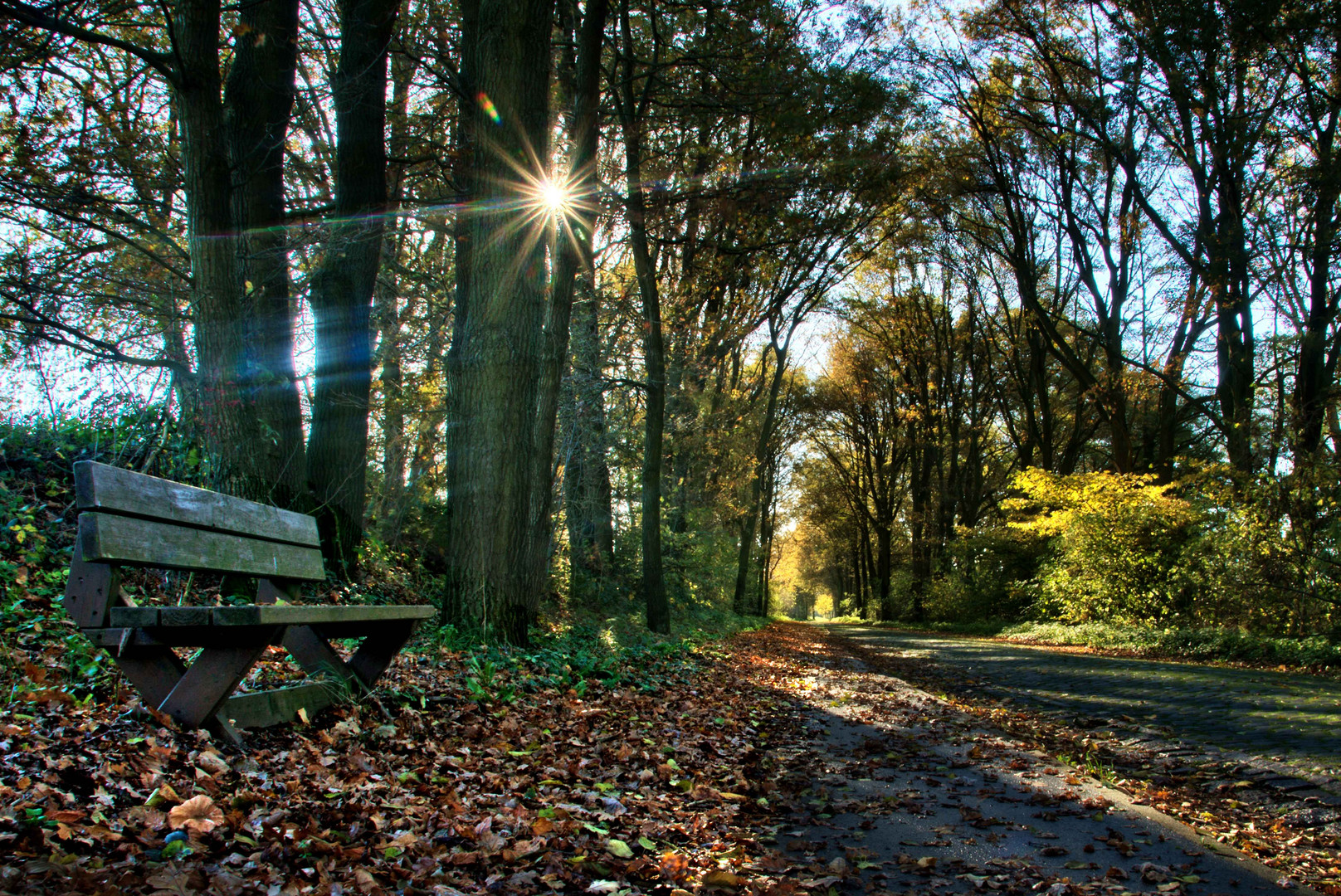 ein früher Herbstmorgen