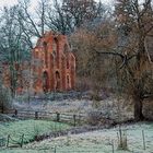 EIN FRÜHERER WINTER UND DIE RUINE IM WALDE