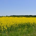 Ein Frühling.....