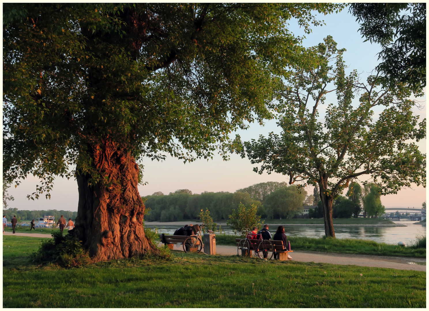 Ein Frühlingsabend am Rhein