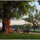 Ein Frühlingsabend am Rhein