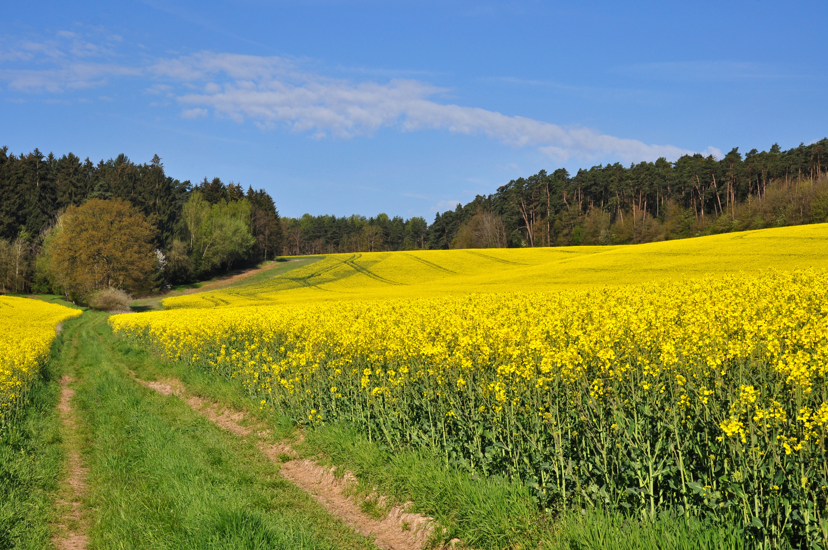 Ein Frühlingsbild...