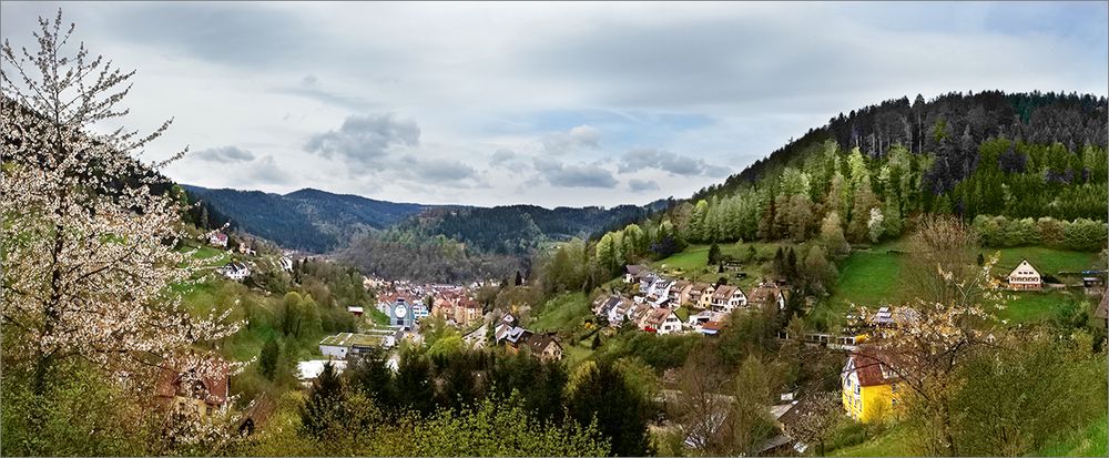 Ein Frühlingsblick auf Schramberg