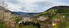 Ein Frühlingsblick auf Schramberg