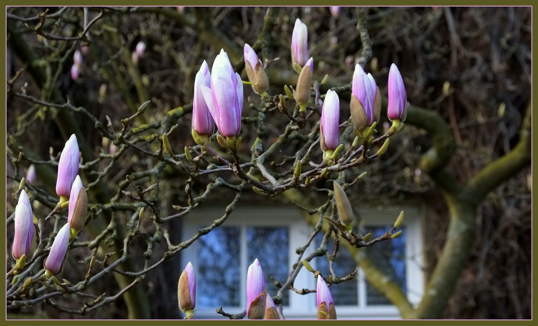 ein Frühlingsgruß