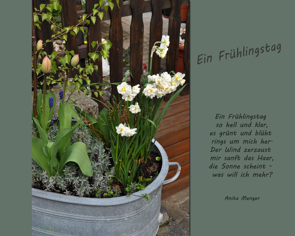 Ein Frühlingsgruß