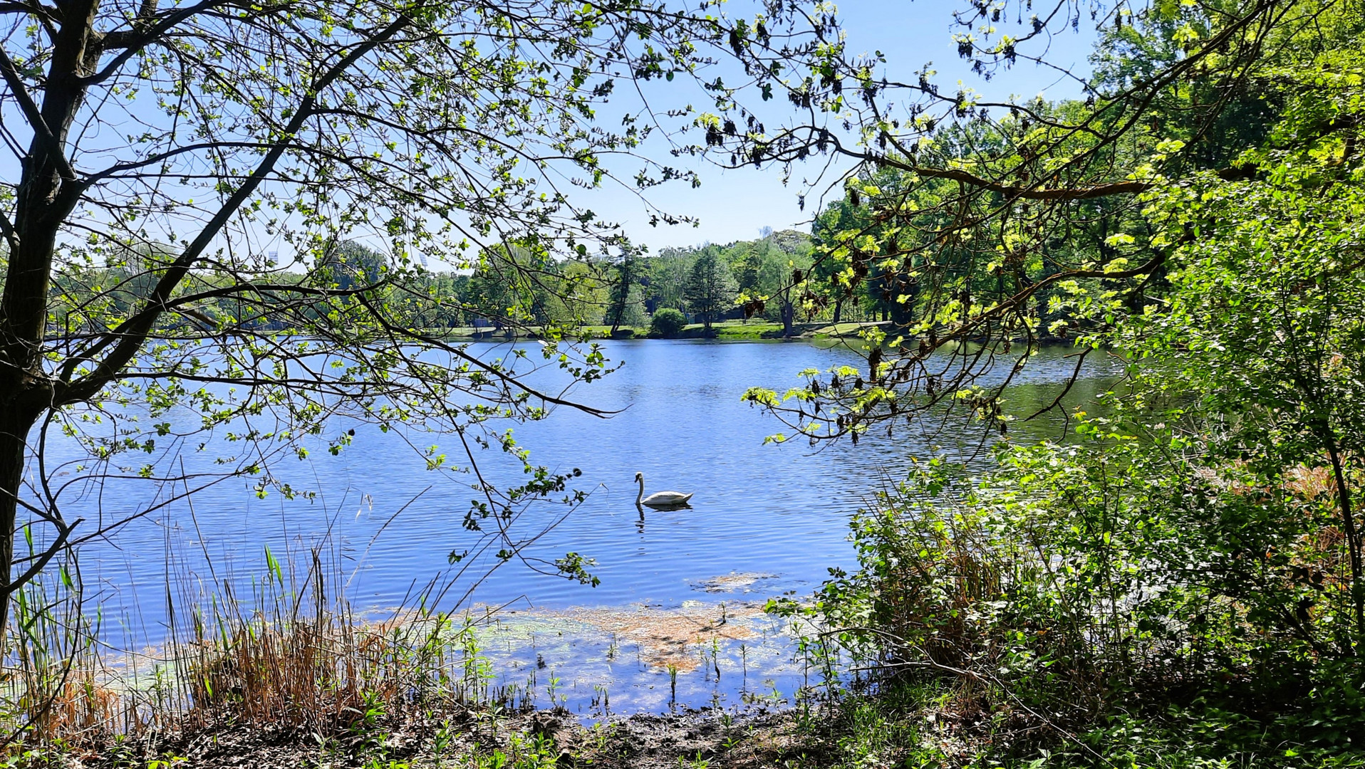 ein frühlingshafter Tag am See