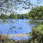 ein frühlingshafter Tag am See