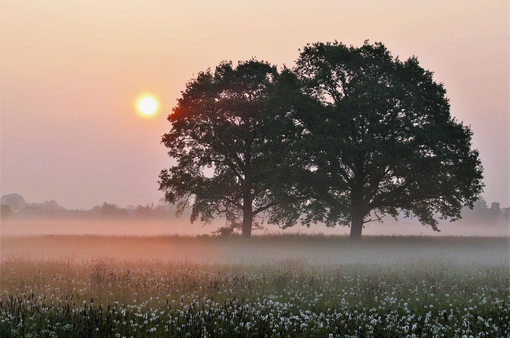 Ein Frühlingsmorgen