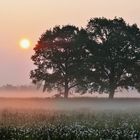 Ein Frühlingsmorgen