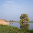 Ein Frühlingsmorgen an der Havel