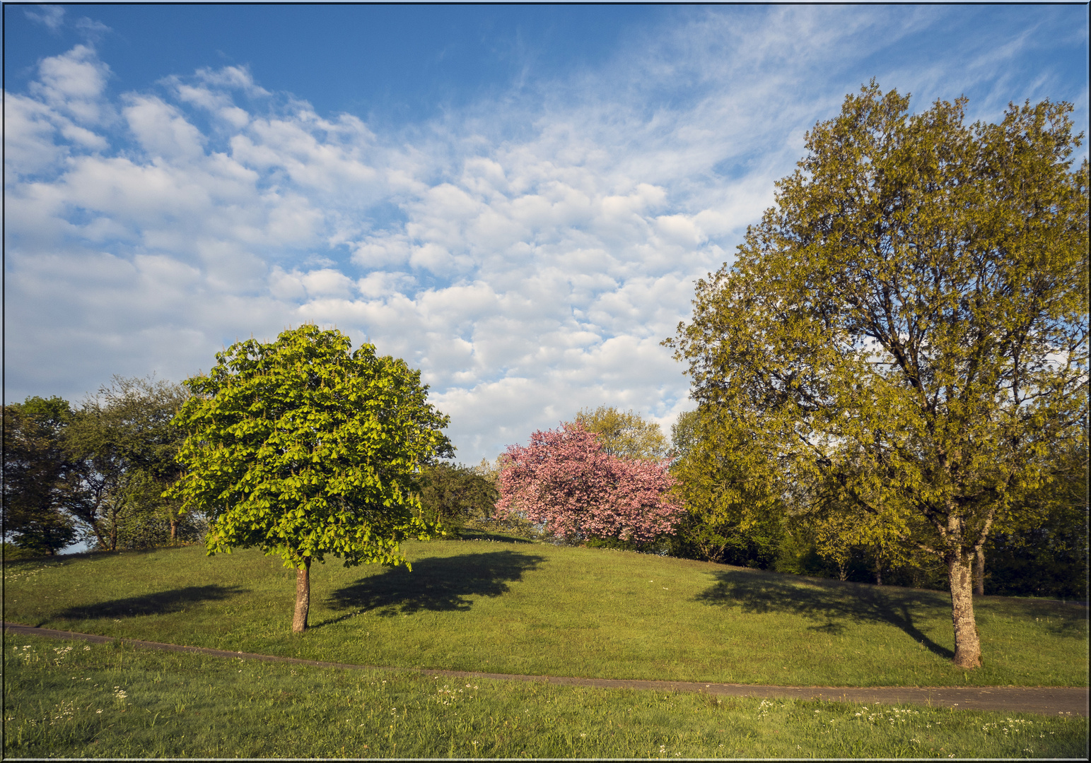 Ein Frühlingsmorgen im Kurpark