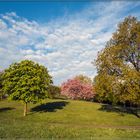 Ein Frühlingsmorgen im Kurpark