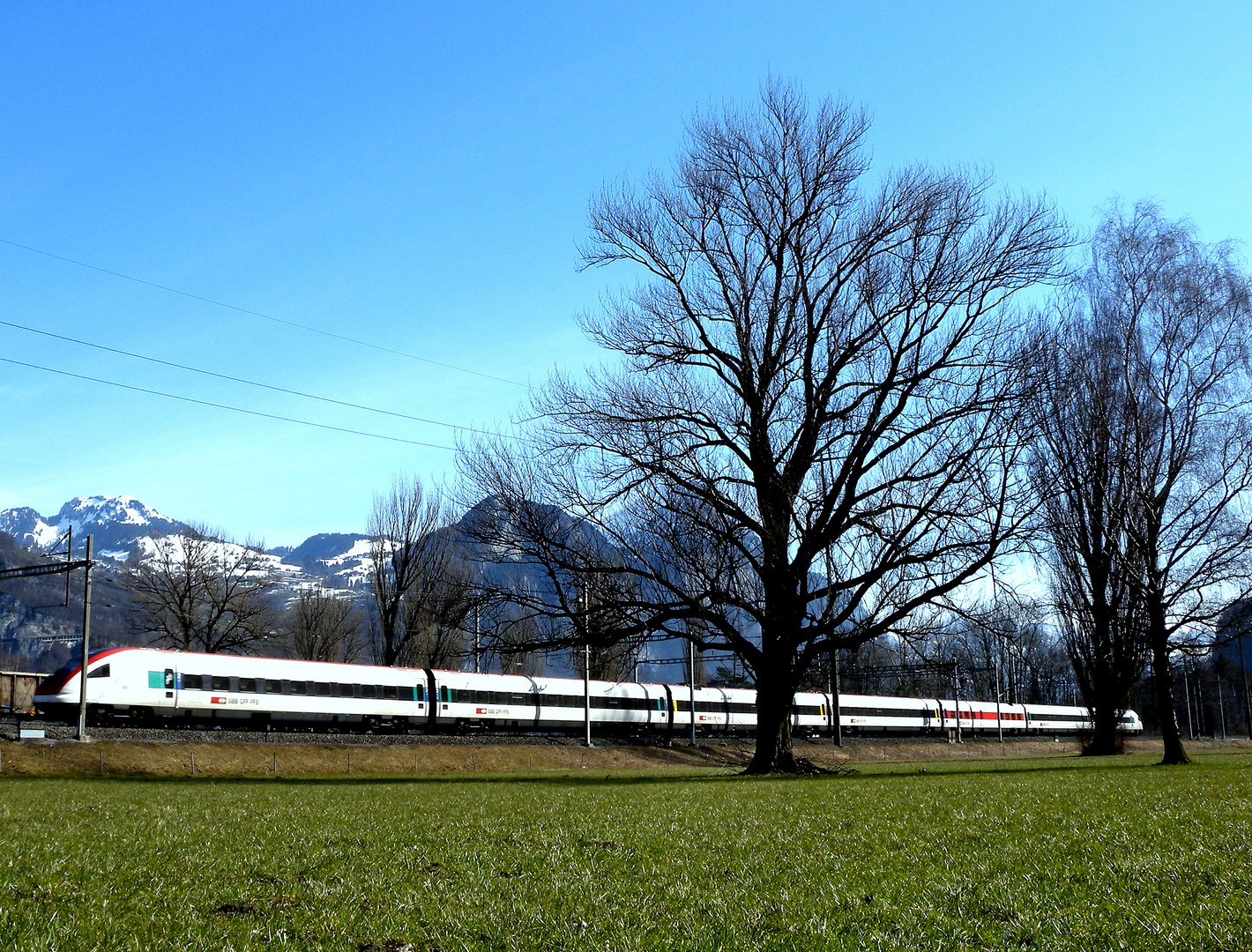 Ein Frühlingsmorgen / un matin de printemps / una mañana de primavera..01