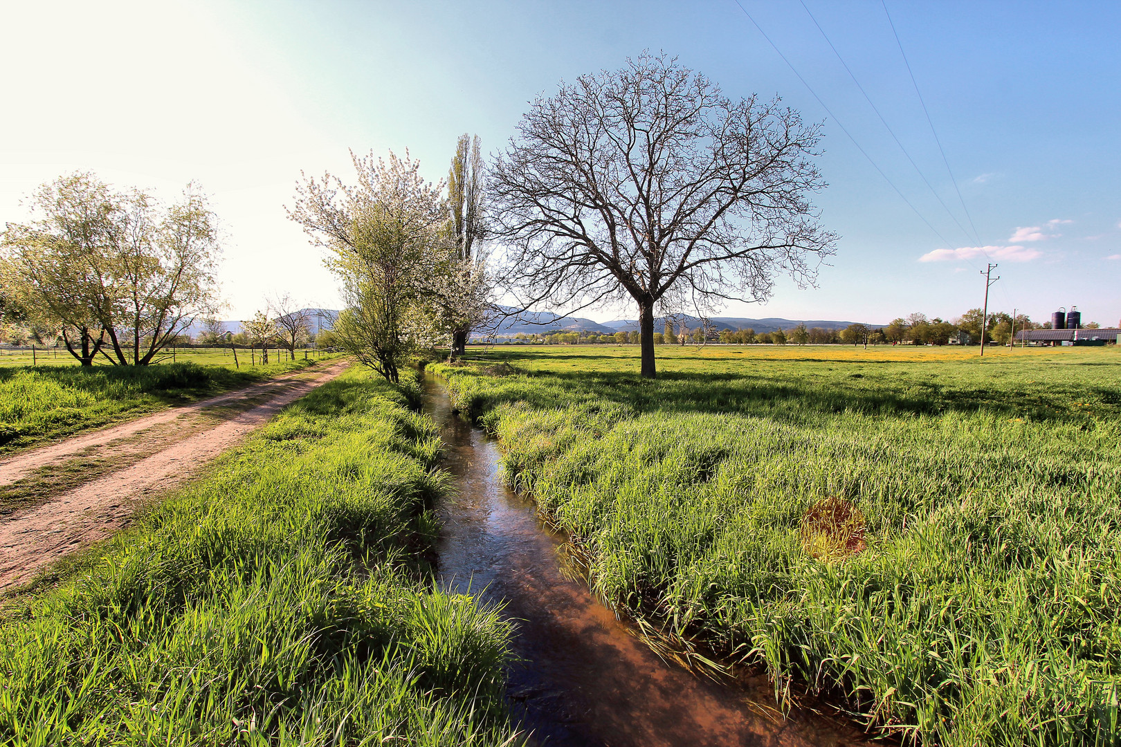 Ein Frühlingsspaziergang