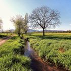 Ein Frühlingsspaziergang