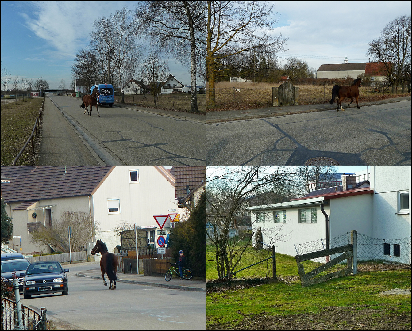 Ein Frühlingsspaziergang der besonderen Art