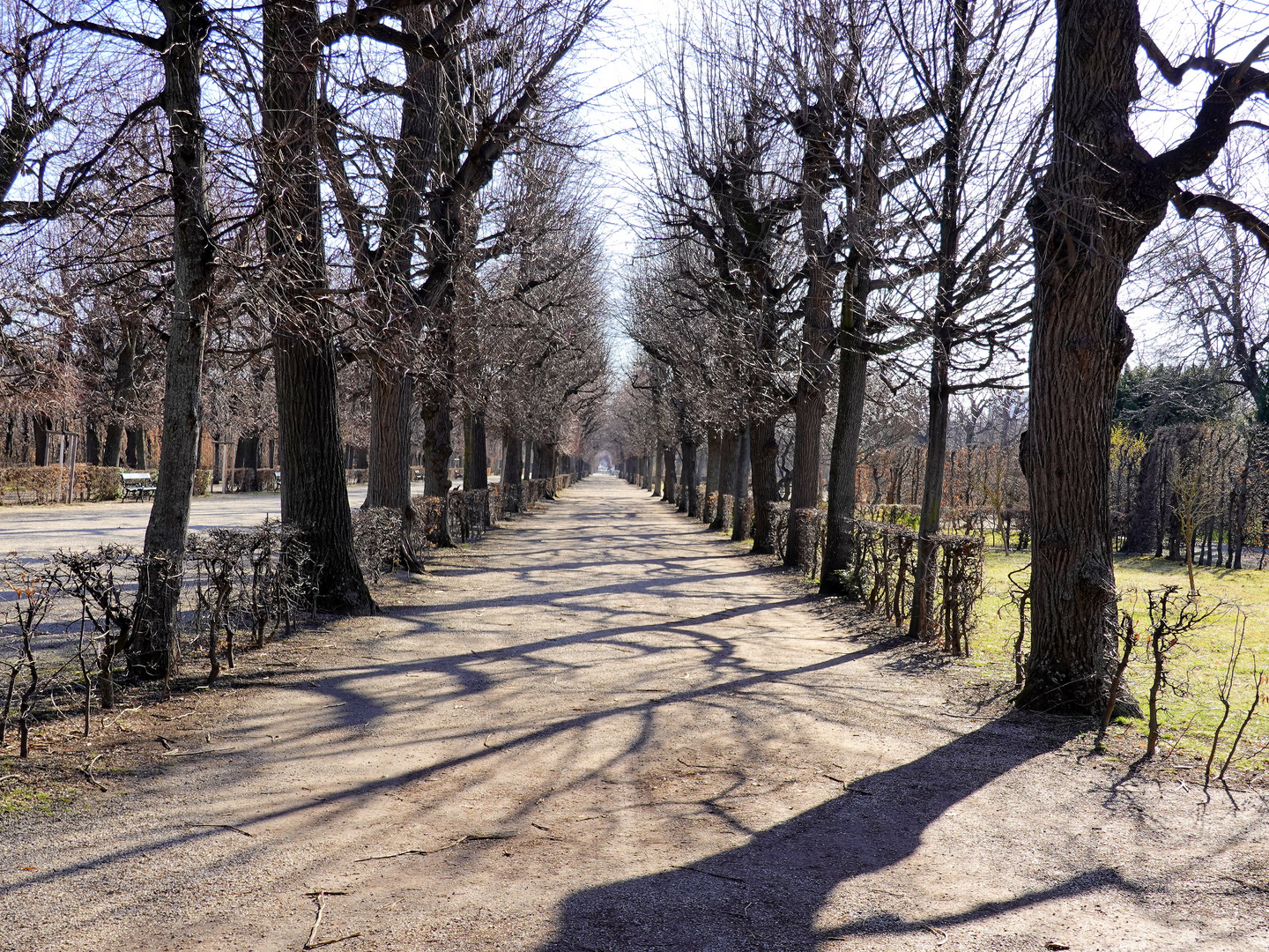 ein Frühlingsspaziergang kurz vor Corona