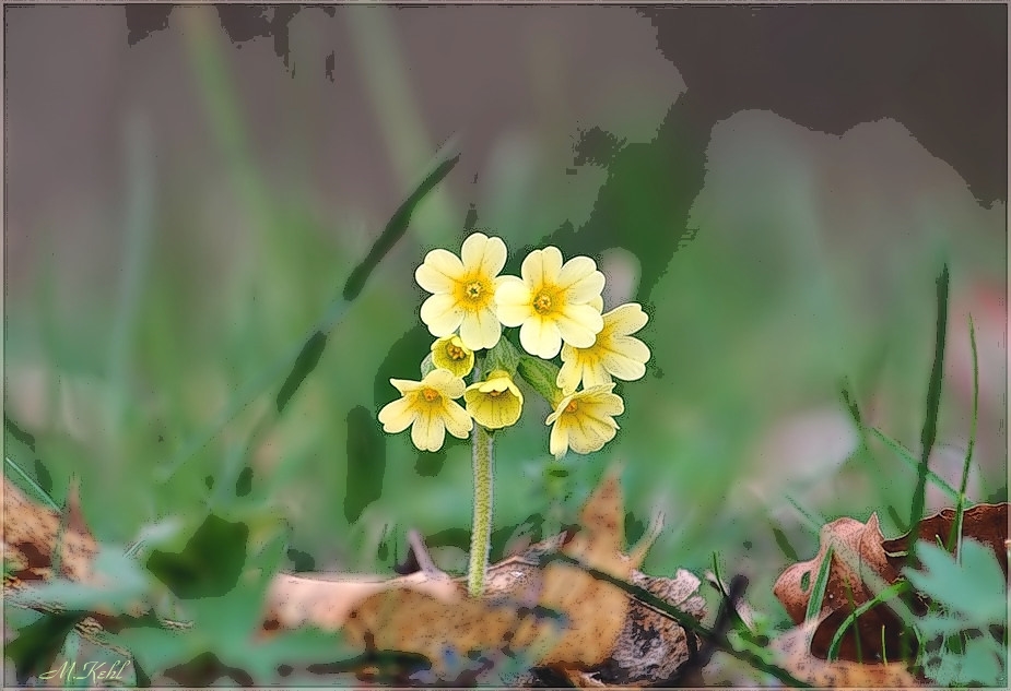 Ein Frühlingstag