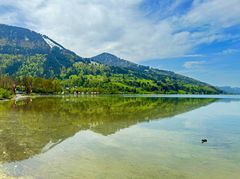 Ein Frühlingstag am Alpsee