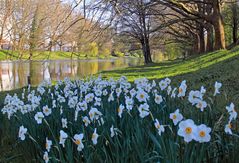 Ein Frühlingstag am Neckar