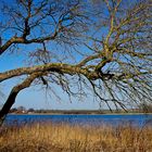 Ein Frühlingstag an der Schlei