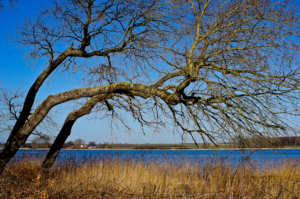 Ein Frühlingstag an der Schlei