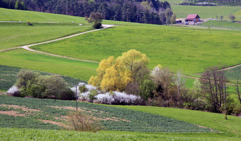 Ein Frühlingstag