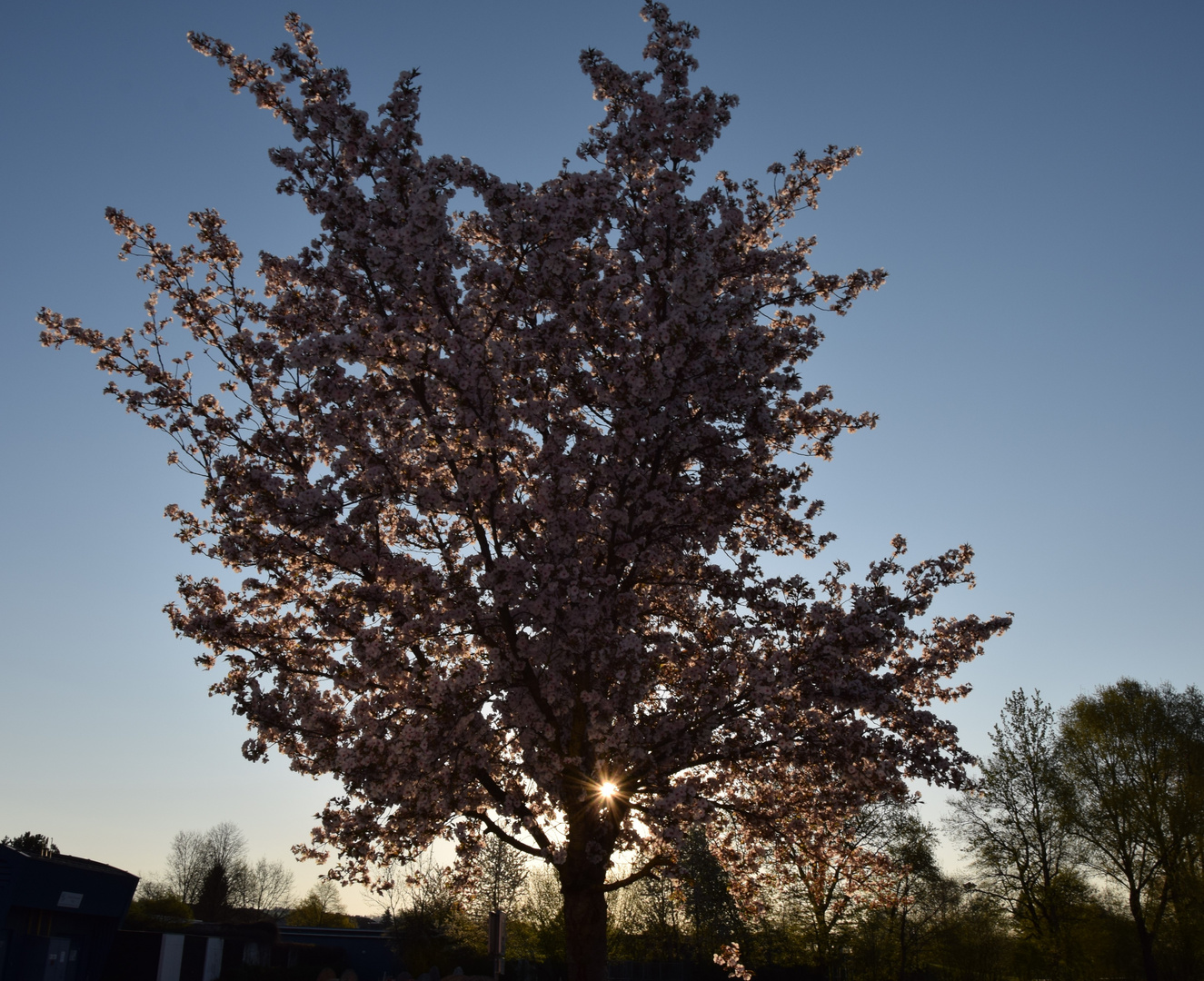 Ein Frühlingstag erwacht