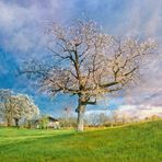 ein Frühlingstag in der Abenddämmerung