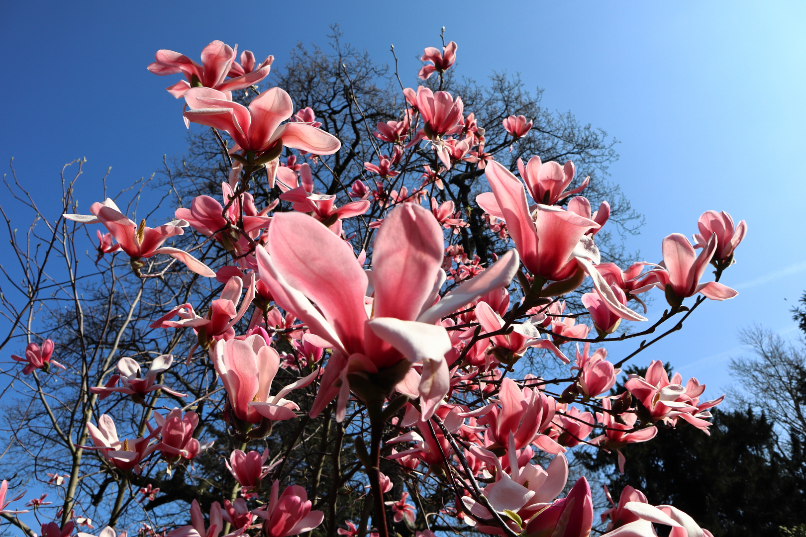 ein Frühlingstag in Hannover