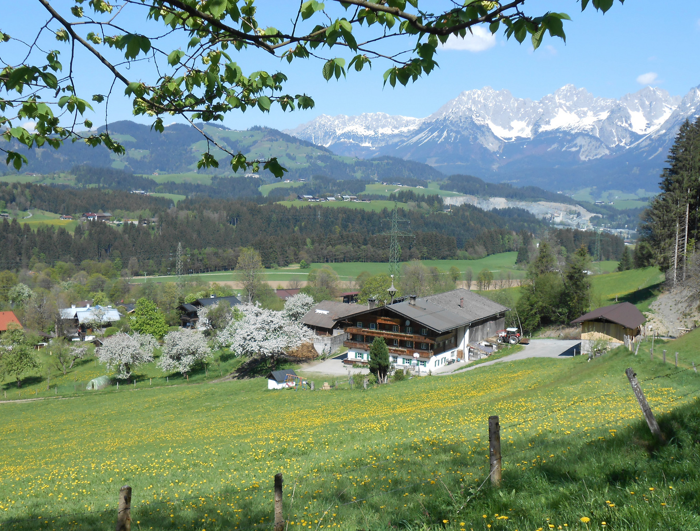 Ein Frühlingstraum!