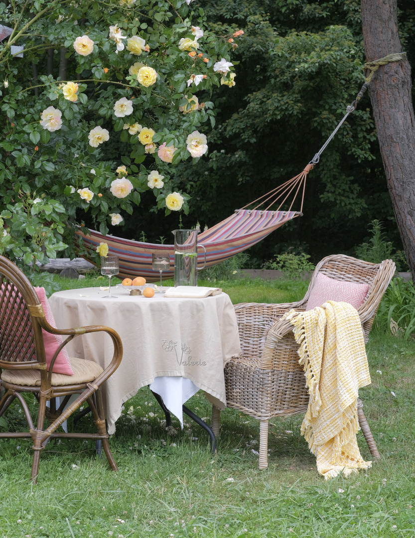 Ein Frühstücksplatz im Garten unter einer kletterten Rose "Moonlight"