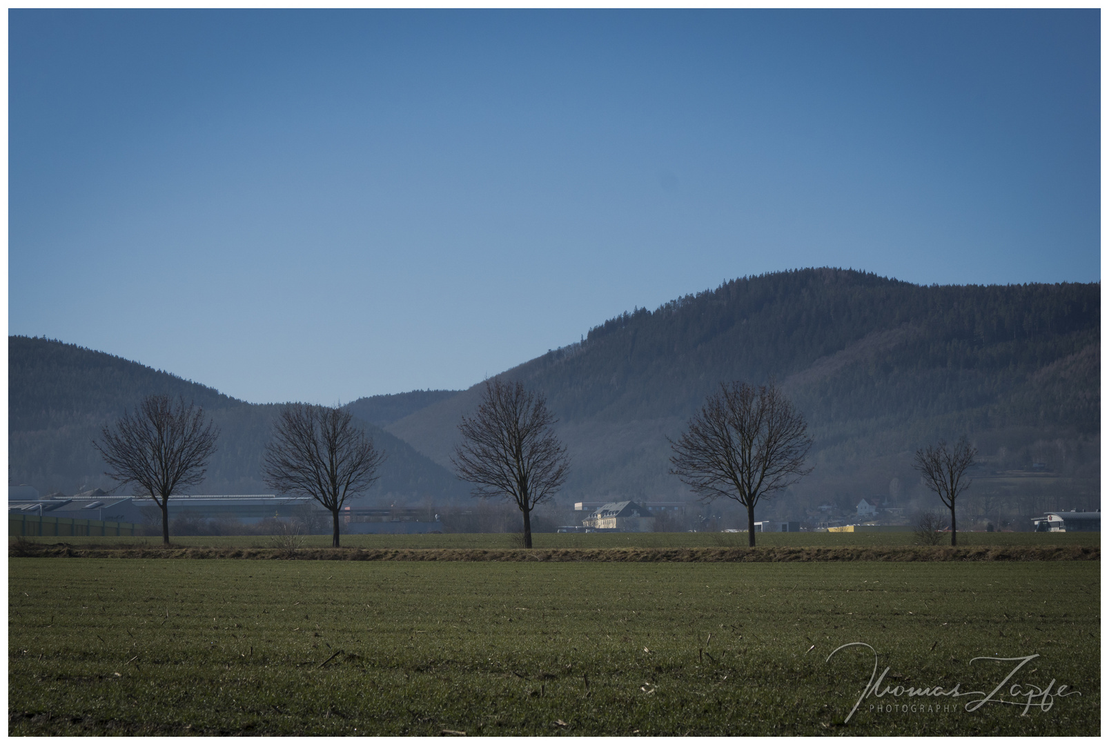 ein Fullhouse der Natur nahe Saalfeld Beulwitz