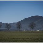 ein Fullhouse der Natur nahe Saalfeld Beulwitz