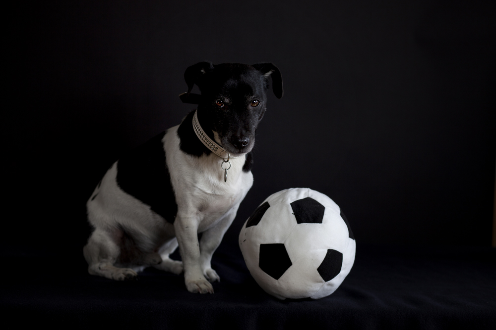 ein Fußballfan