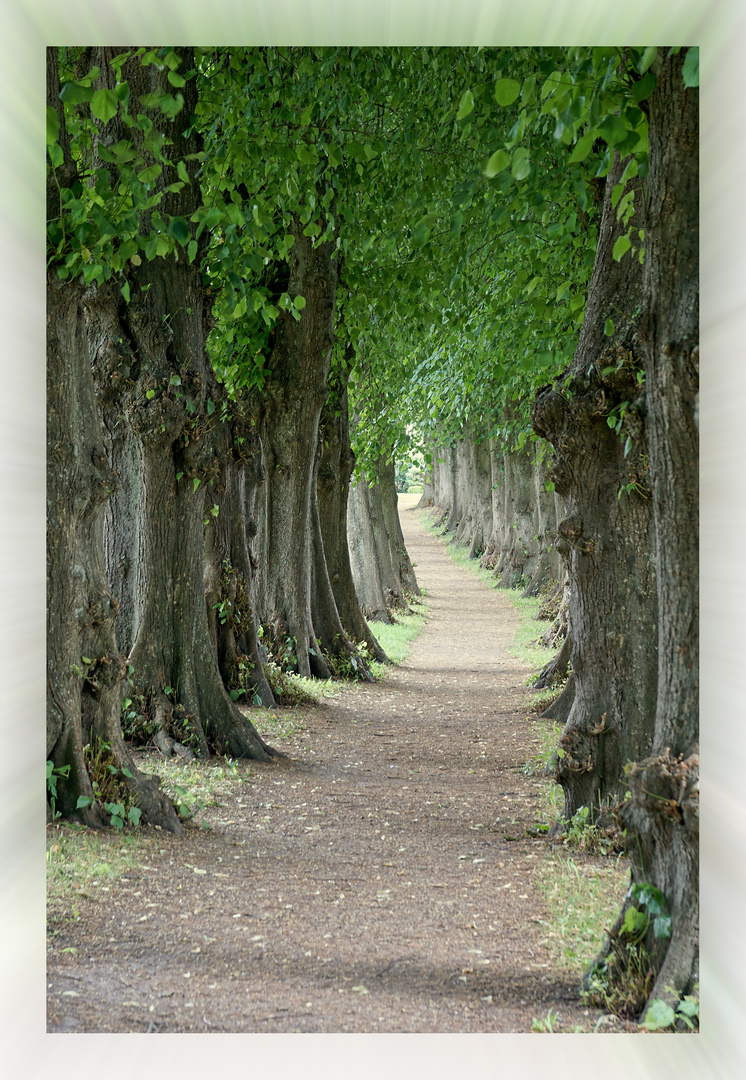 Ein Fußweg