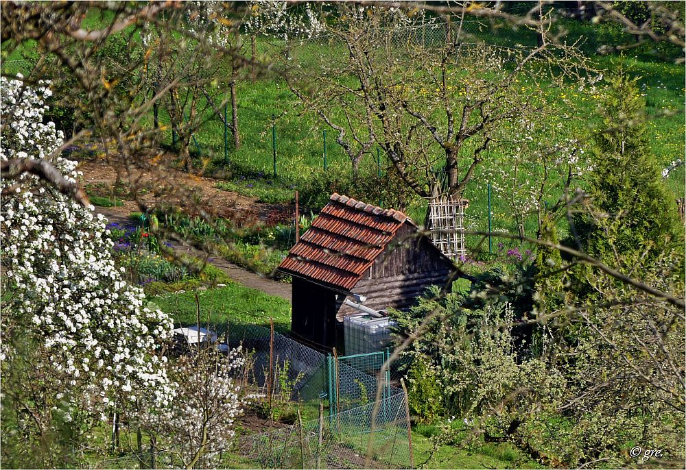 Ein Gärtchen