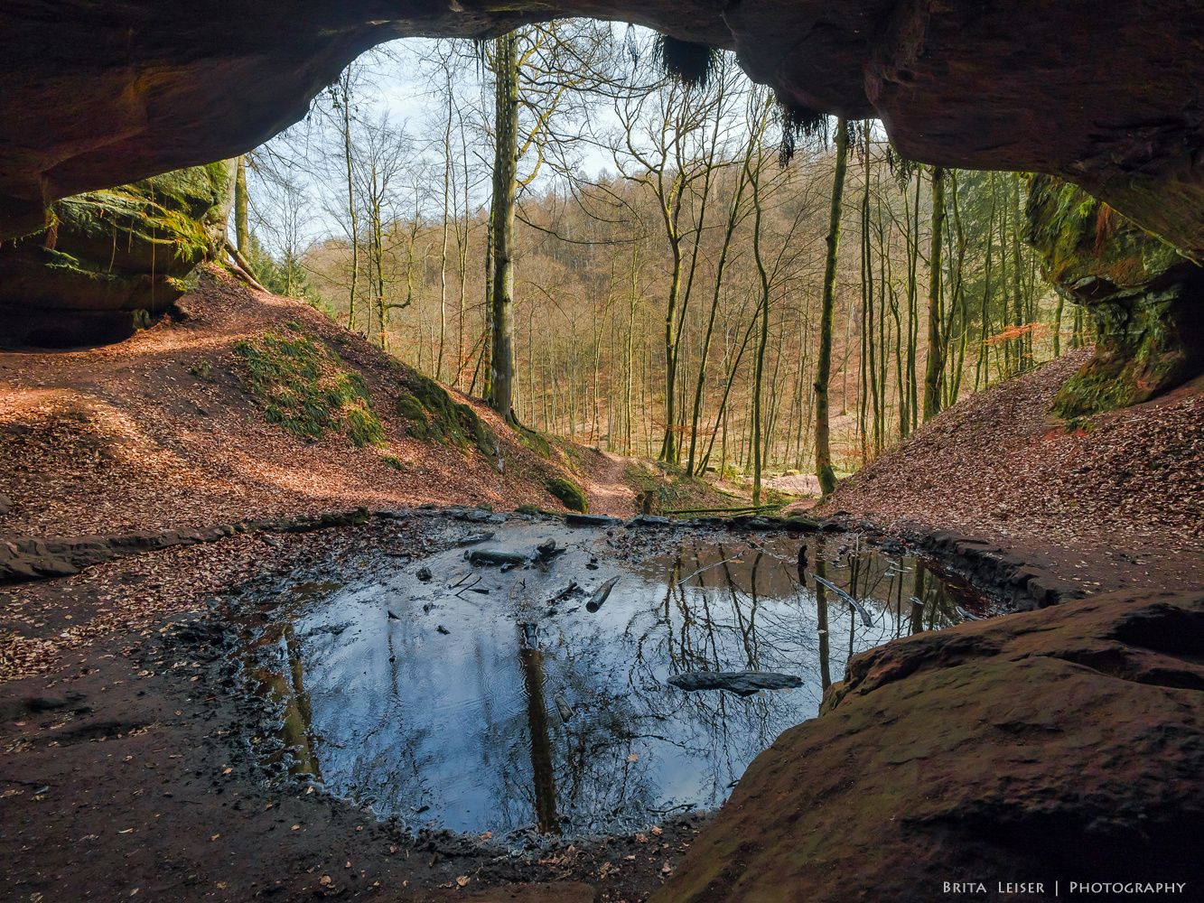 Ein ganz besonderer Ausblick