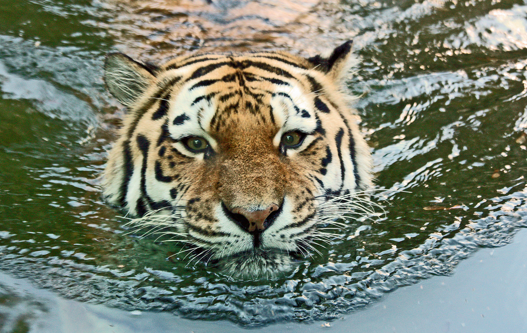 Ein ganz besonderer Blick im Leipziger Zoo