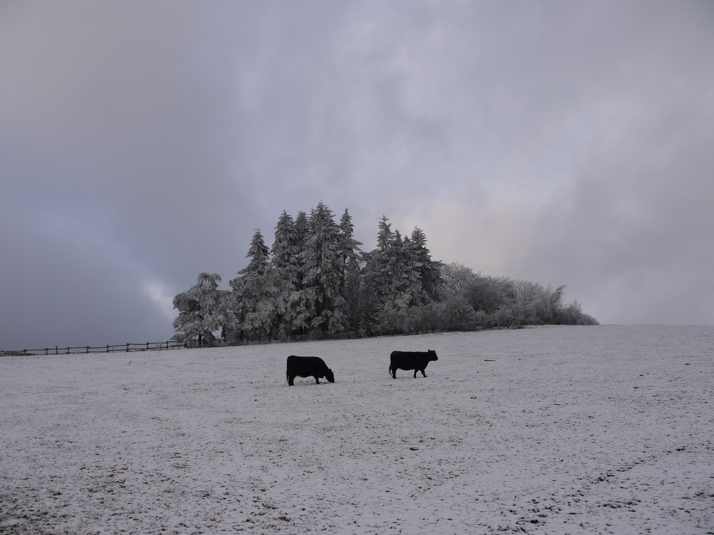 Ein ganz besonderer Tag im Winter