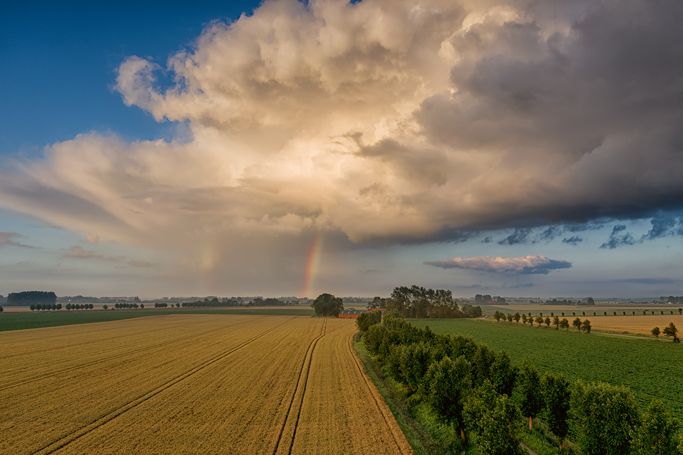 Ein ganz kleines Regengebiet über den Feldern