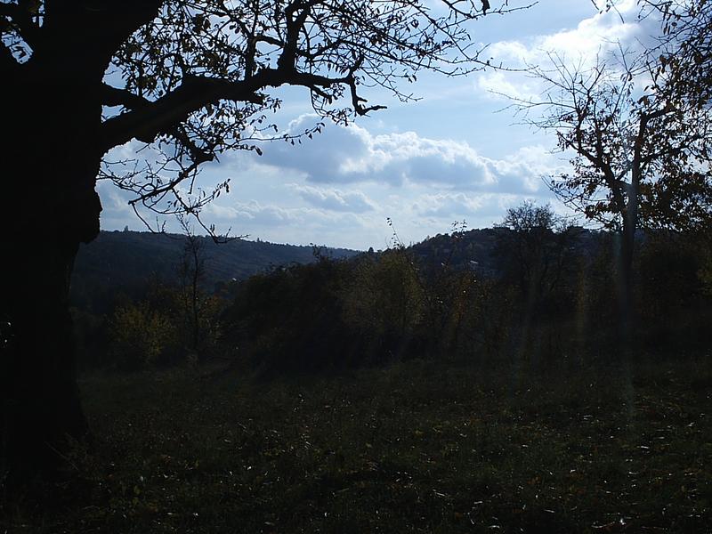 Ein ganz normaler Herbsttag