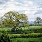 Ein ganz normaler Sonntag in England