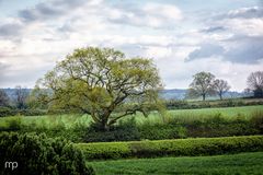 Ein ganz normaler Sonntag in England