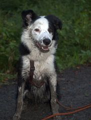 Ein ganz normaler Spaziergang